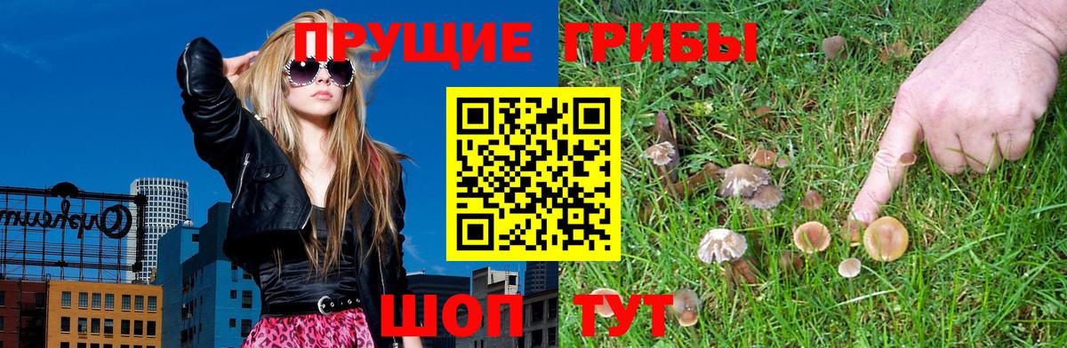 Галлюциногенные грибы Cubensis Истра